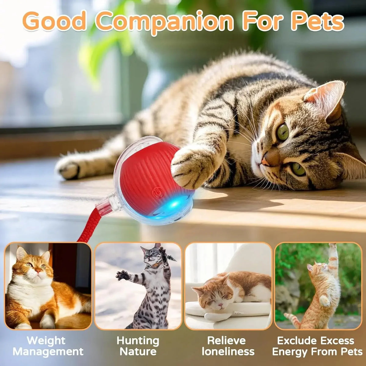 Interactive Rolling Ball for Cats & Dogs – Automatic, Rechargeable, Smart | 23 Variants