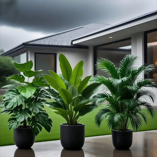 Artificial Plant Set 3-piece - Banana Tree & Monstera Palm, Floor Decoration for Indoors & Outdoors